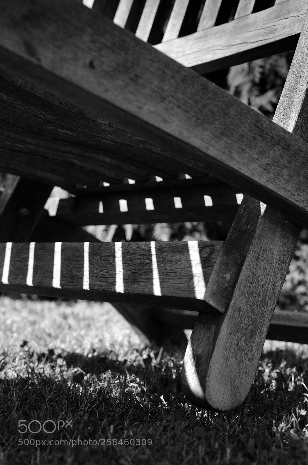 Nikon D7000 sample photo. Ombres au jardin photography
