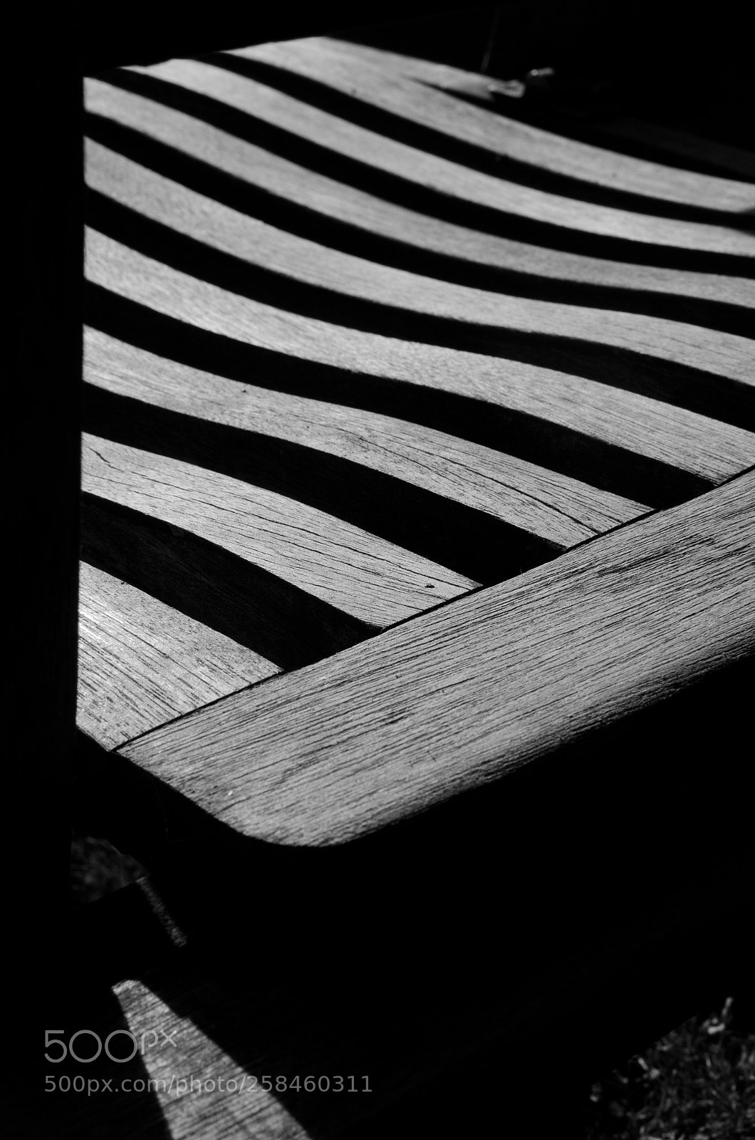 Nikon D7000 sample photo. Curvy photography