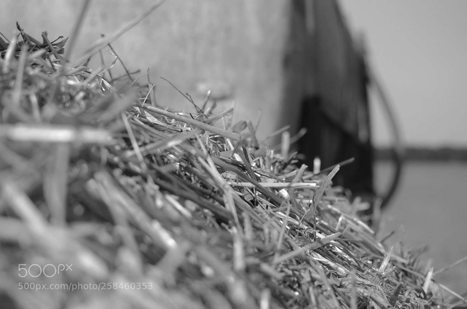 Nikon D7000 sample photo. Une aiguille dans une photography