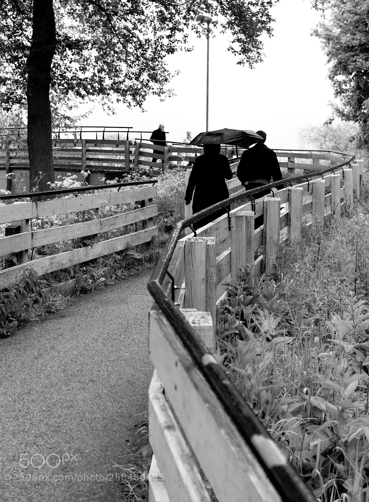 Sony a7R II sample photo. The handrail photography
