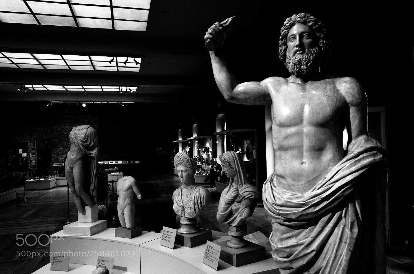 Nikon D5100 sample photo. Zeus photography