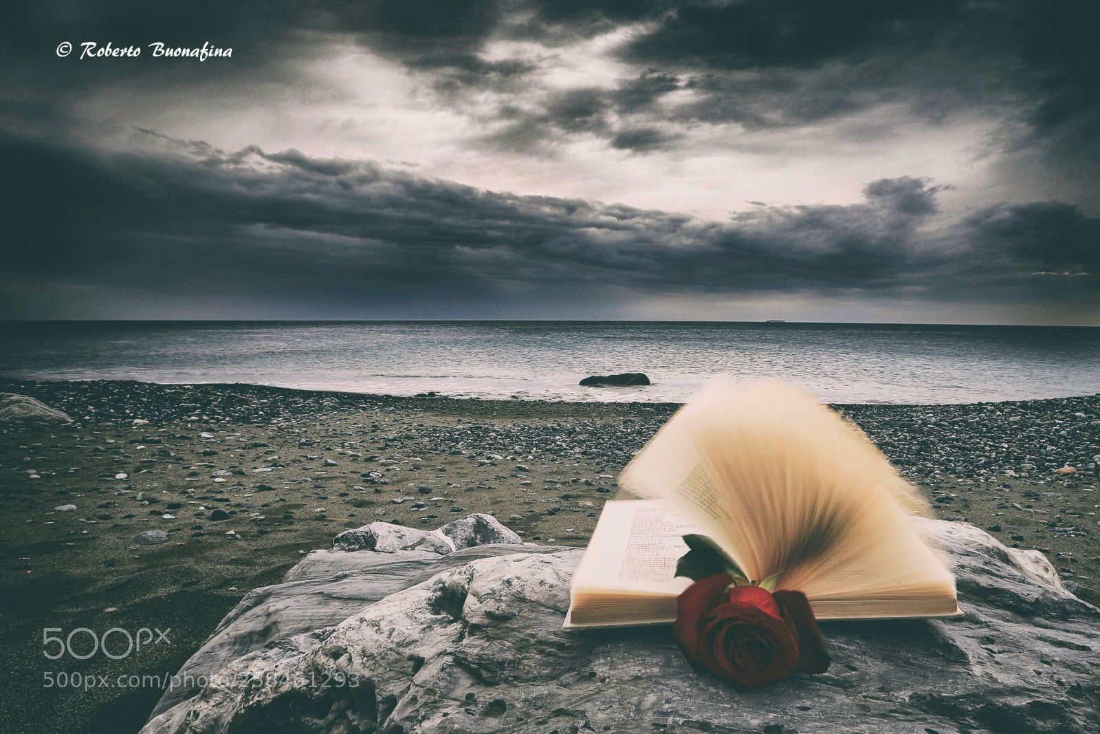 Canon EOS 6D sample photo. Pain and strength.... photography