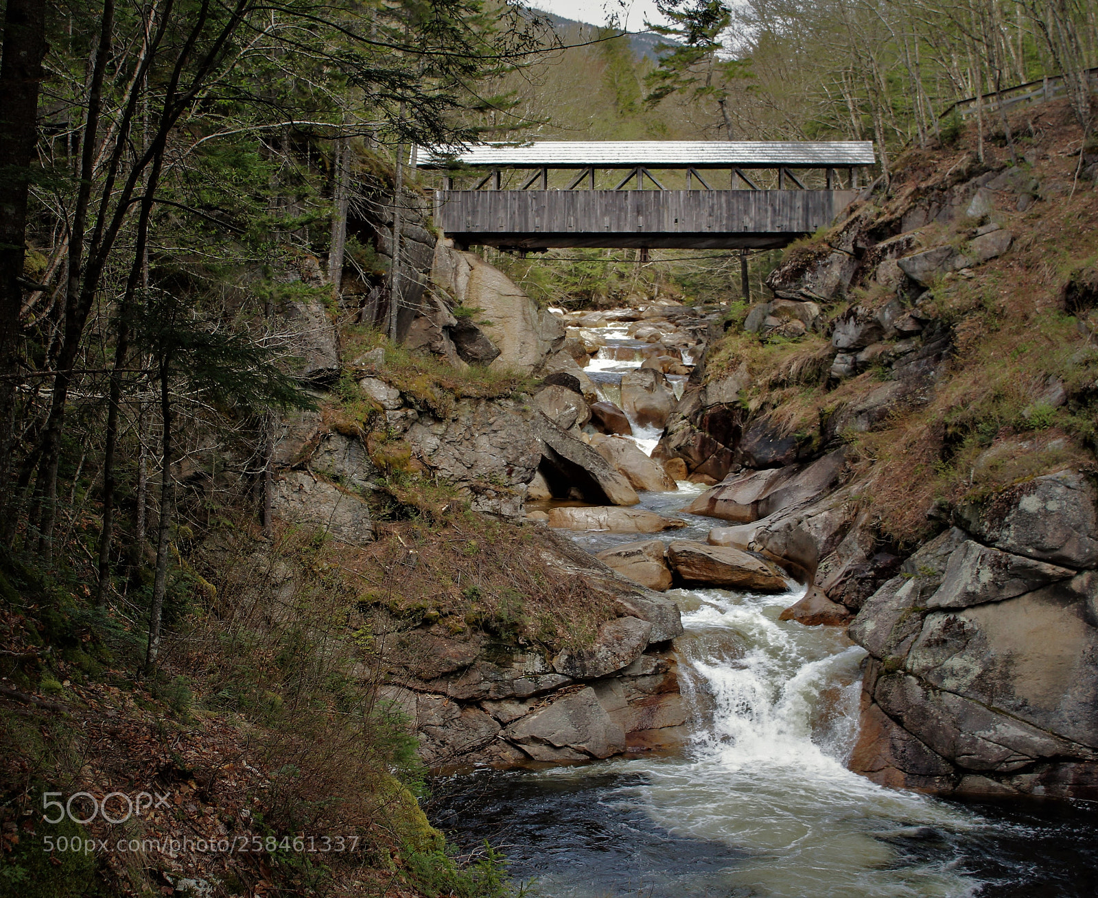 Canon EOS 1300D (EOS Rebel T6 / EOS Kiss X80) sample photo. Water and bridge photography