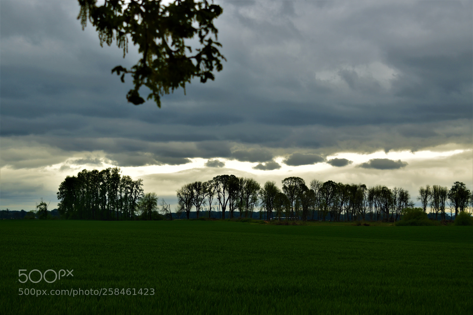 Nikon D5500 sample photo. Nature photography