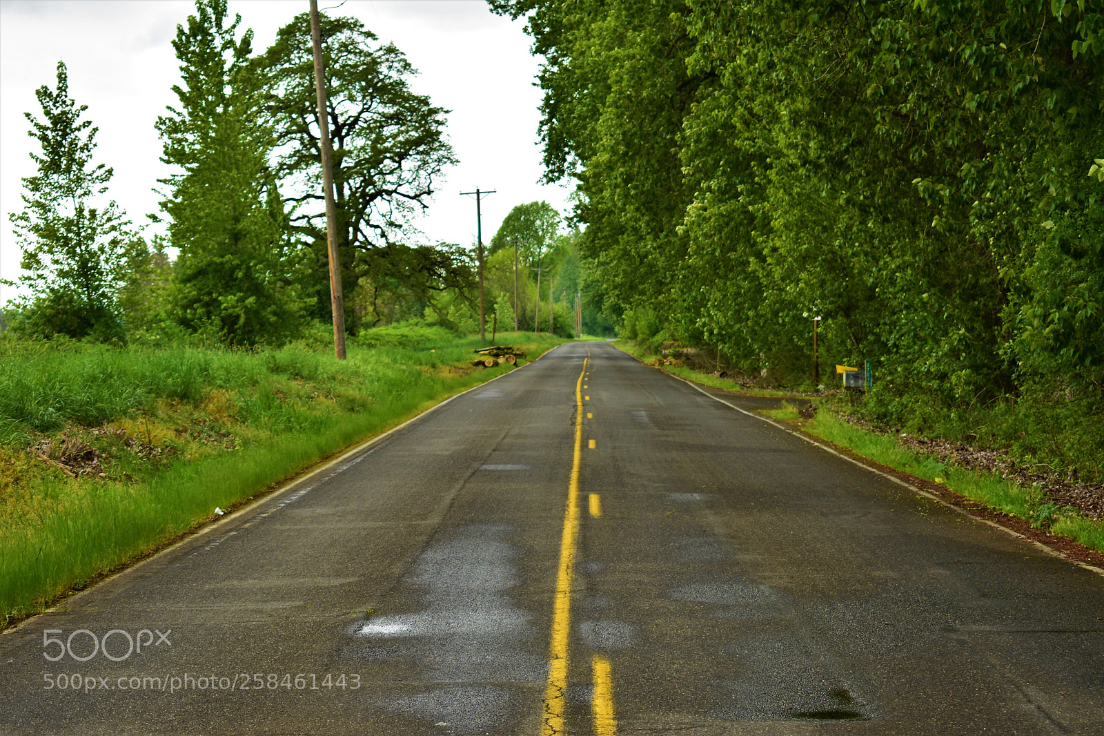 Nikon D5500 sample photo. Nature photography