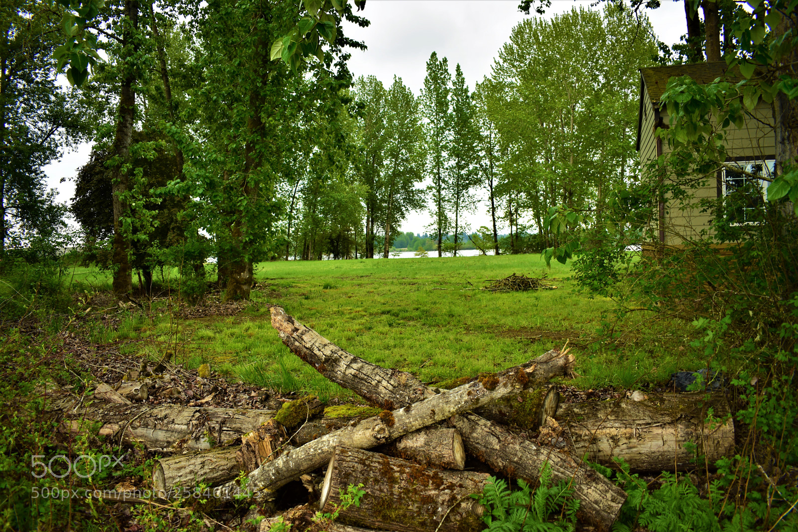 Nikon D5500 sample photo. Nature photography