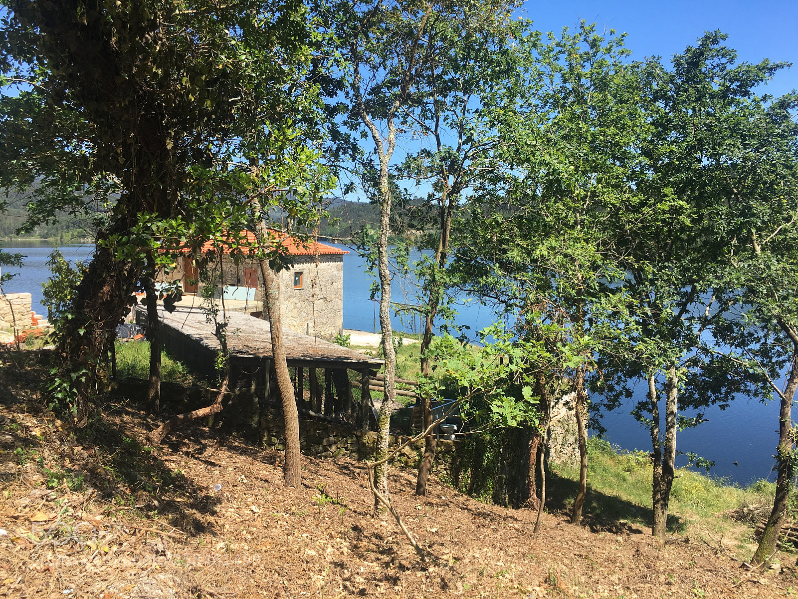 Apple iPhone 6s Plus sample photo. Lourizela portugal photography