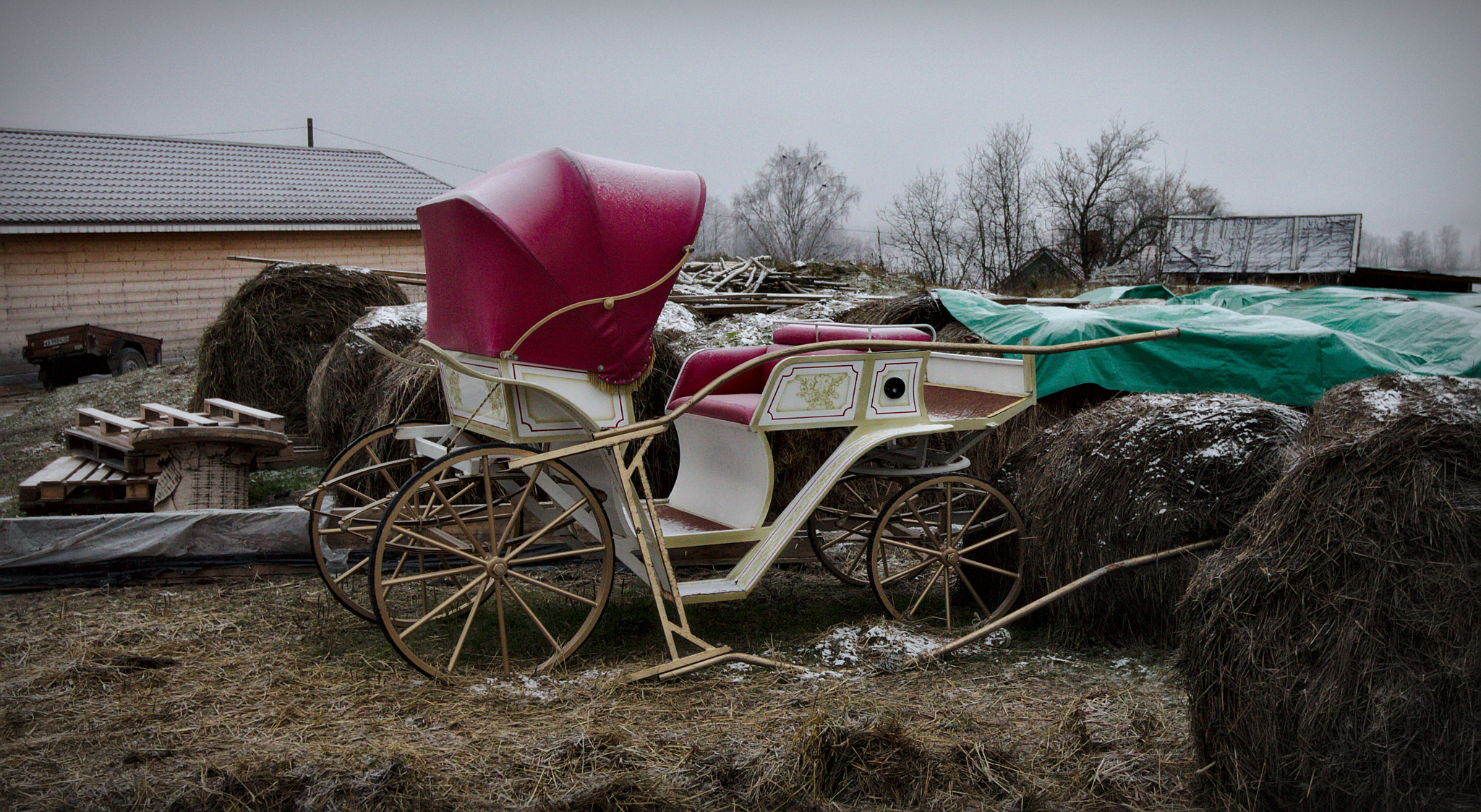Canon EOS 650D (EOS Rebel T4i / EOS Kiss X6i) sample photo. Cinderella's carriage has lost its way :) photography