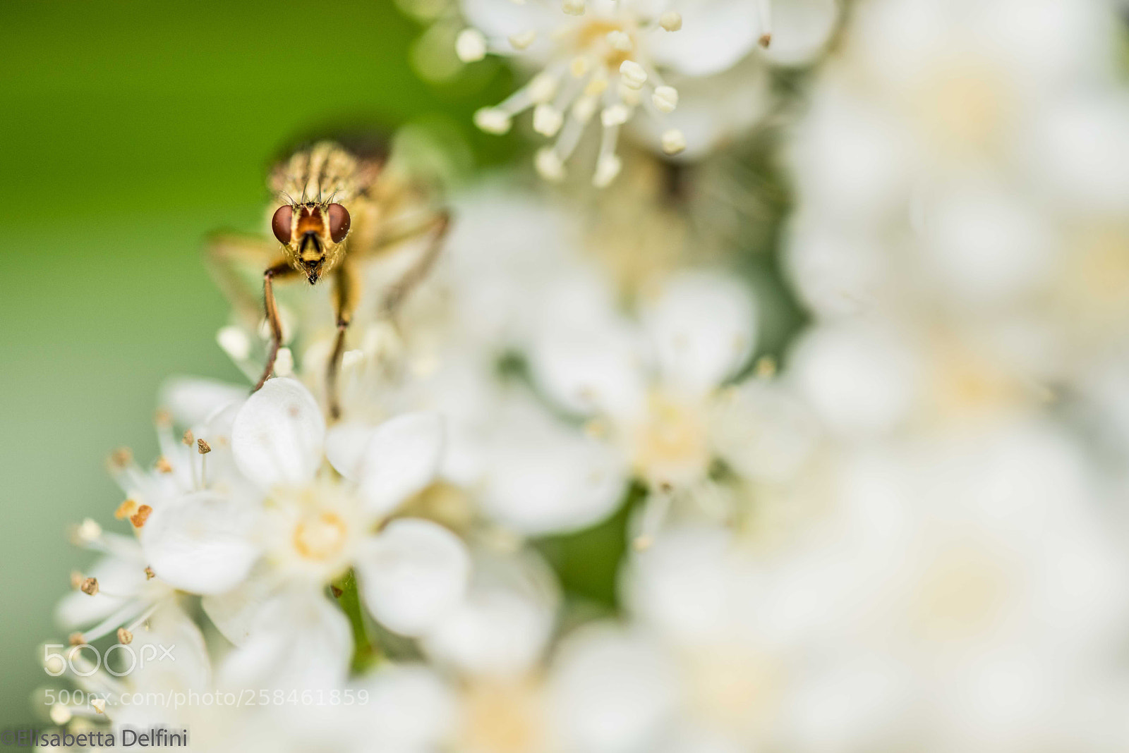 Nikon D810 sample photo. . photography