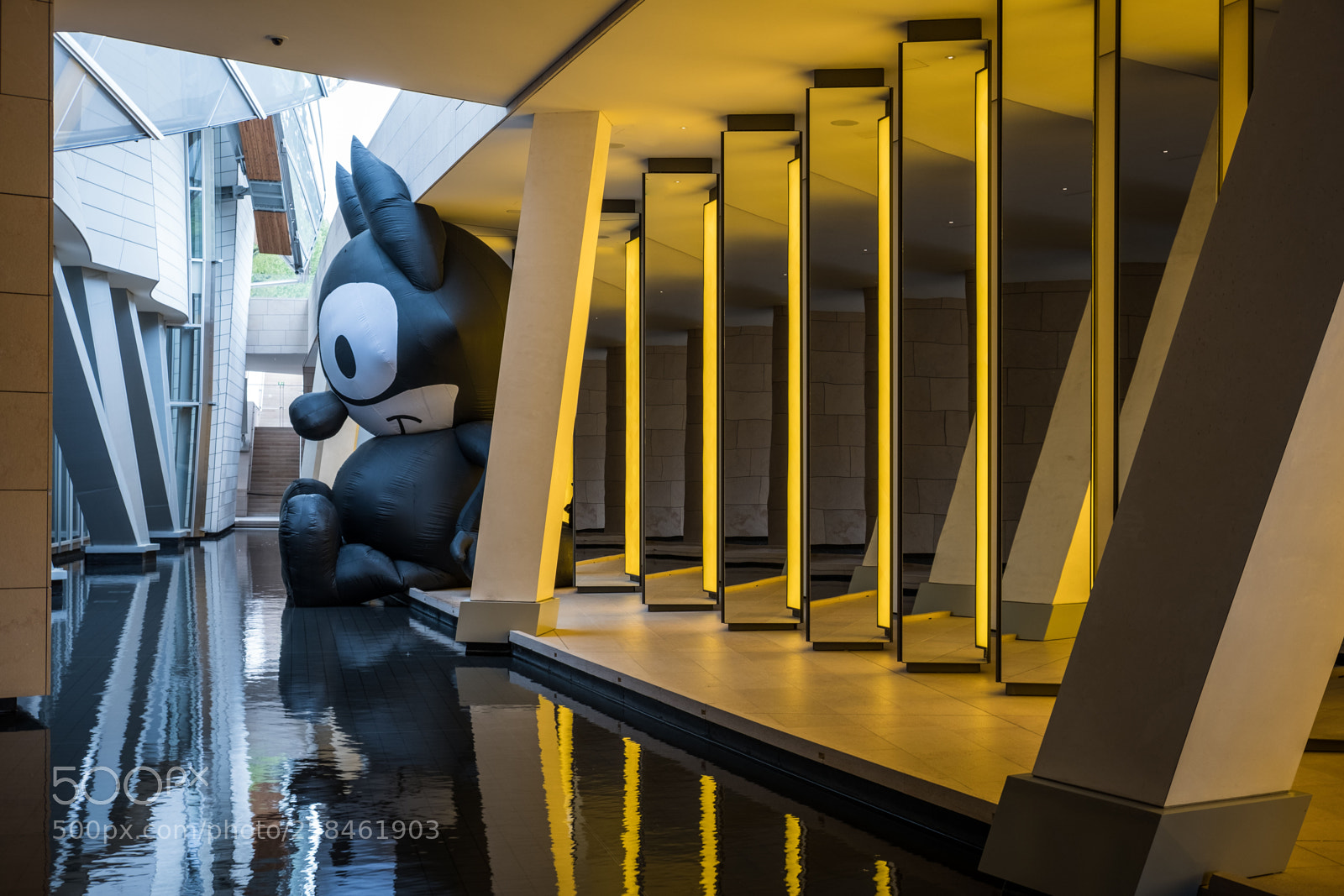 Fujifilm X-T2 sample photo. Felix the cat photography
