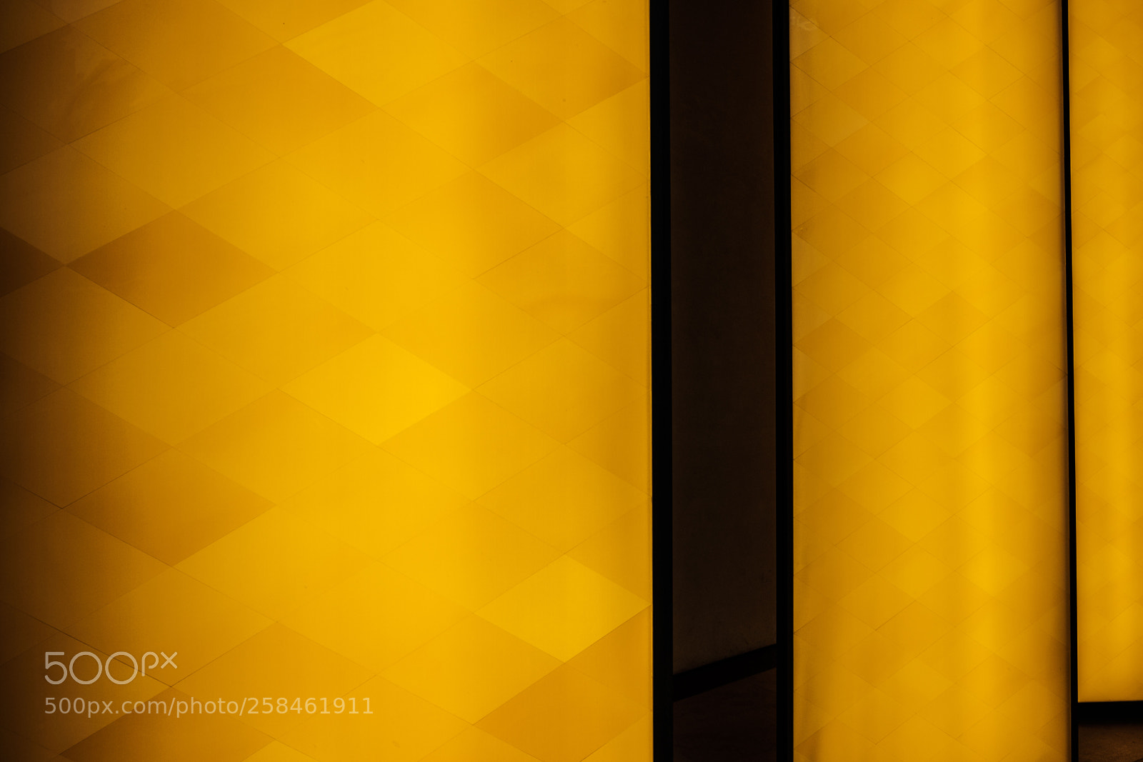 Fujifilm X-T2 sample photo. Yellow photography