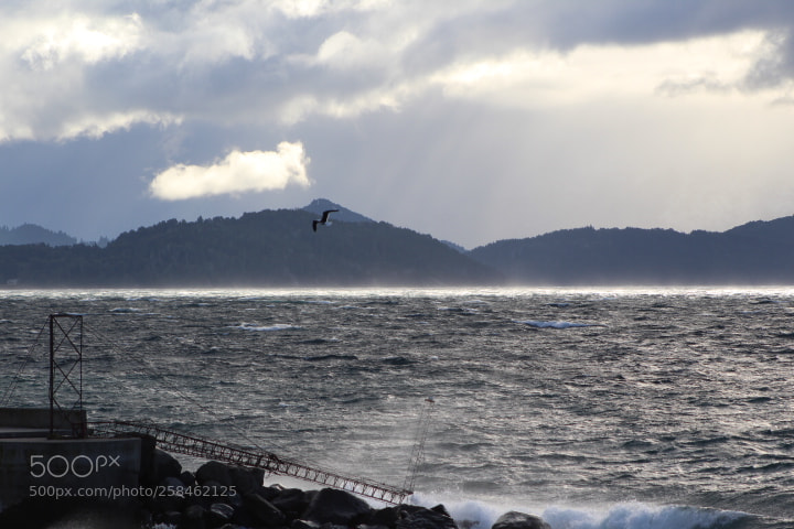 Canon EF 75-300mm f/4-5.6 sample photo. Img photography