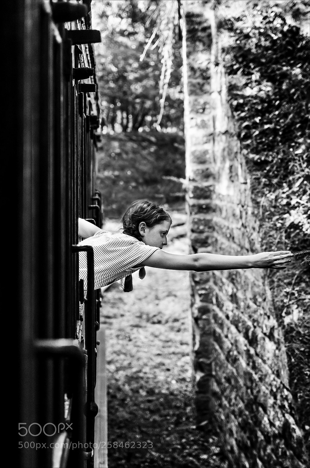 Nikon D7000 sample photo. L'insaisissable photography
