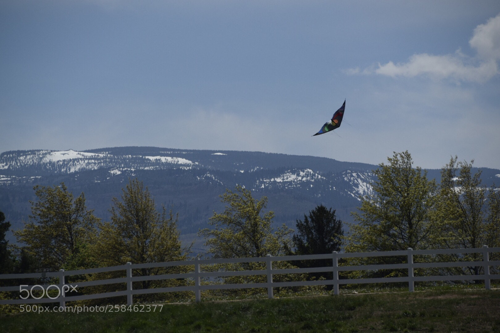 Nikon D5300 sample photo. Untitled photography