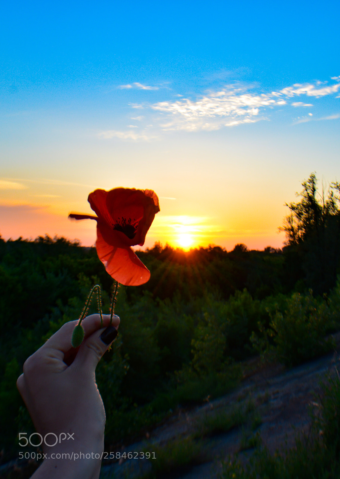 Nikon D5200 sample photo. Sunset photography
