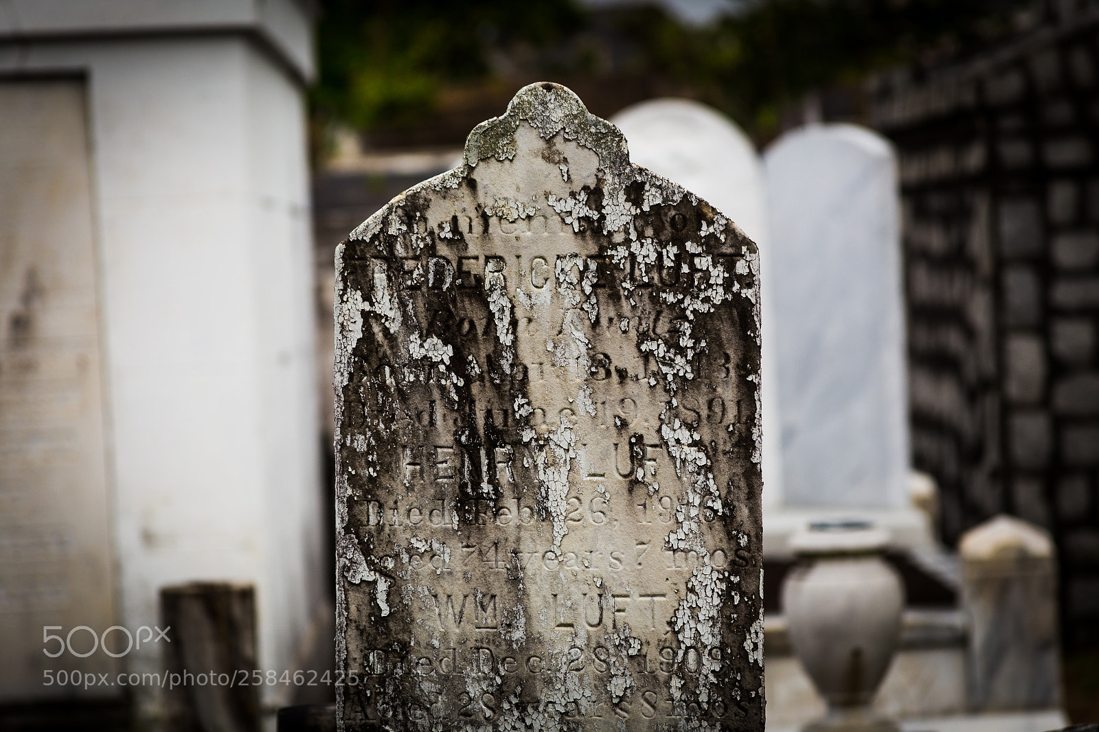 Canon EOS 6D sample photo. Tighty whitey seduction photography