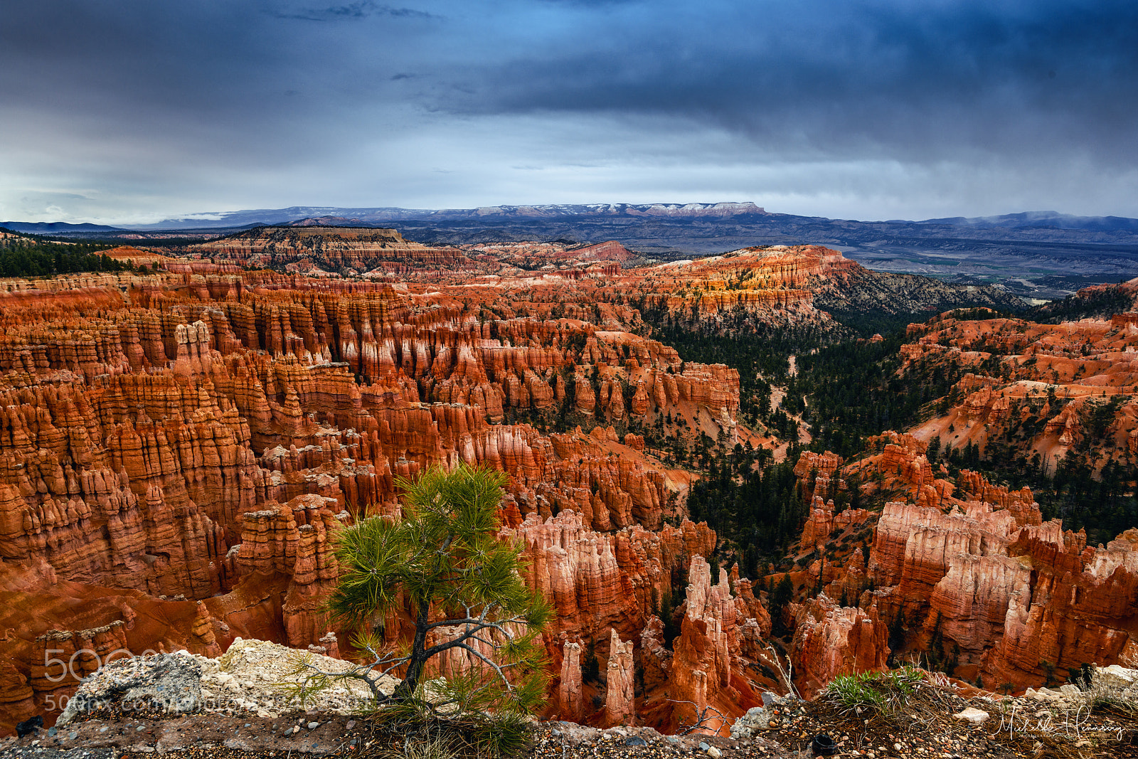 Nikon D850 sample photo. Bryce canyon 2 photography