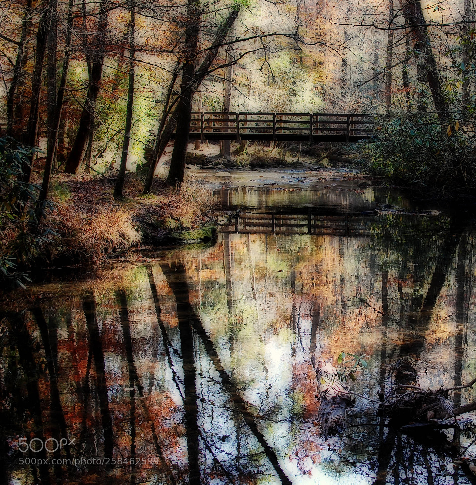Nikon D40 sample photo. Smokies bridge photography
