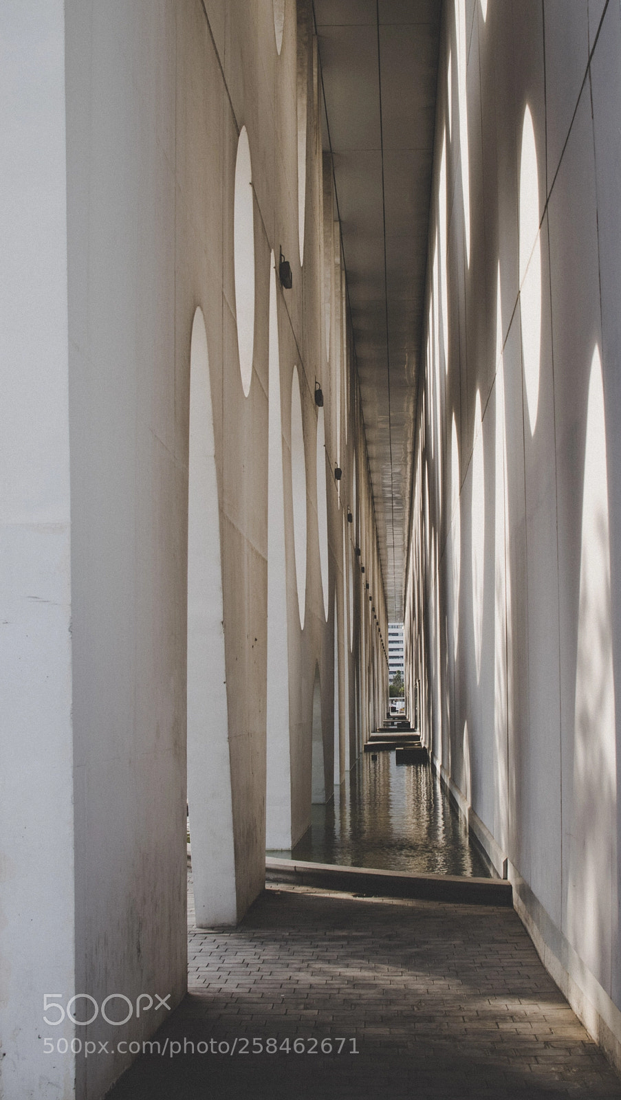 Nikon D3300 sample photo. Reflections/symmetry photography