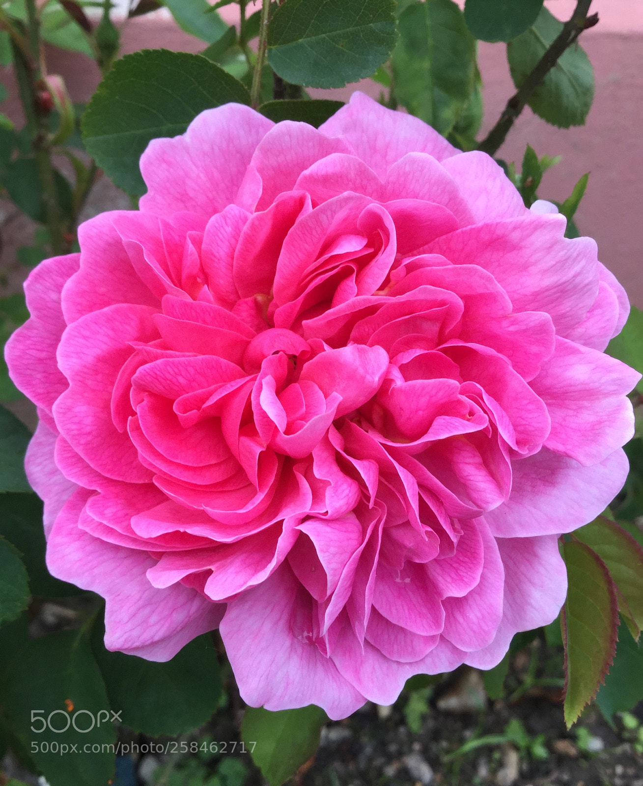 Apple iPod touch sample photo. The countryman ii photography