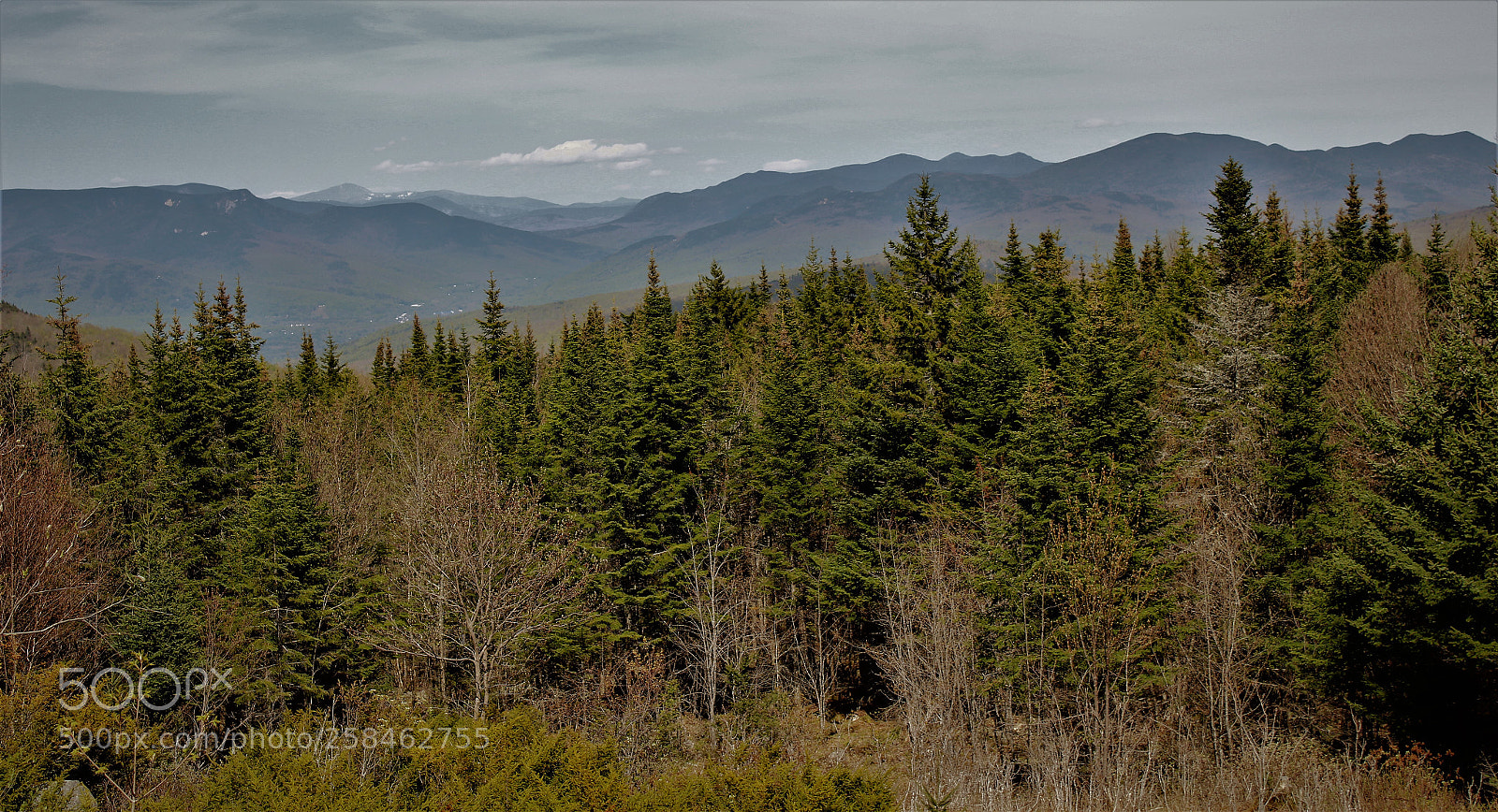 Canon EOS 1300D (EOS Rebel T6 / EOS Kiss X80) sample photo. Purples mountains majesty photography