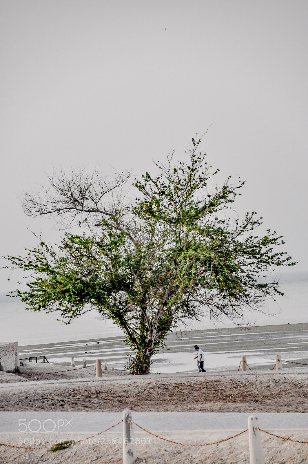 Nikon D90 sample photo. Untitled photography