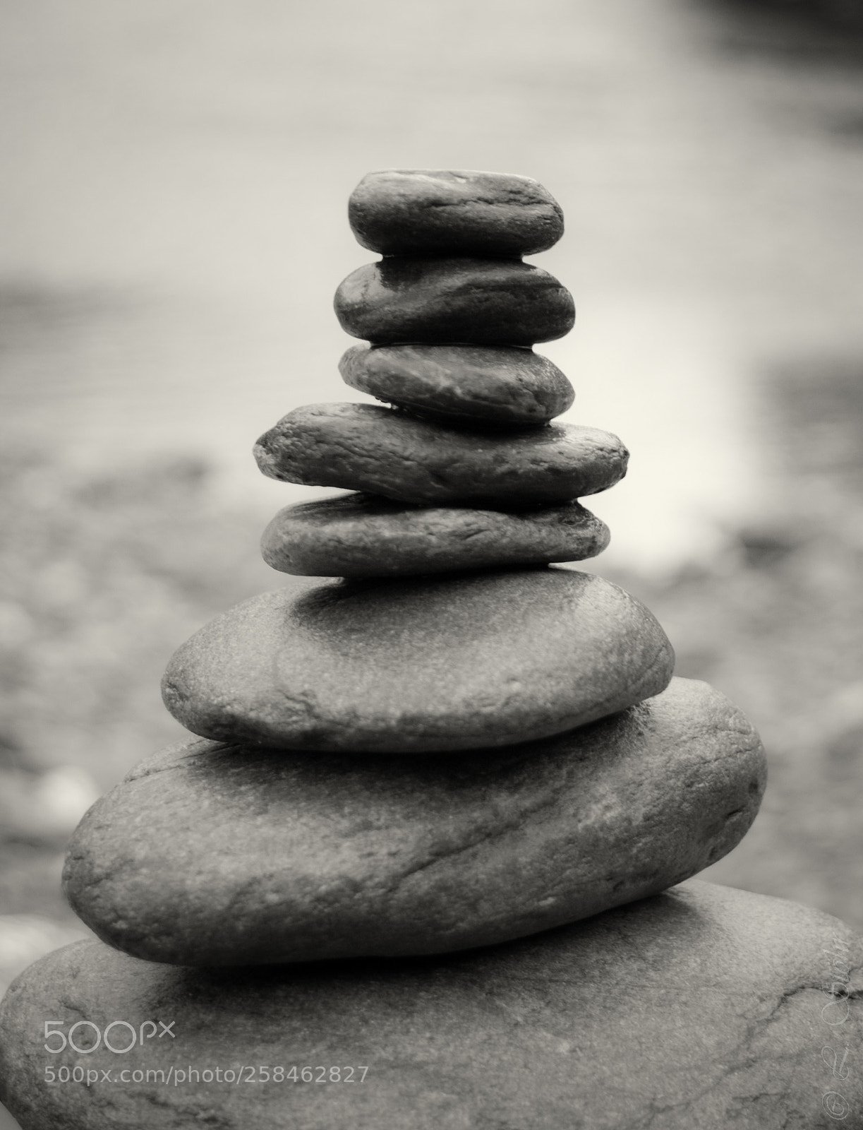 Nikon D3100 sample photo. Balance photography
