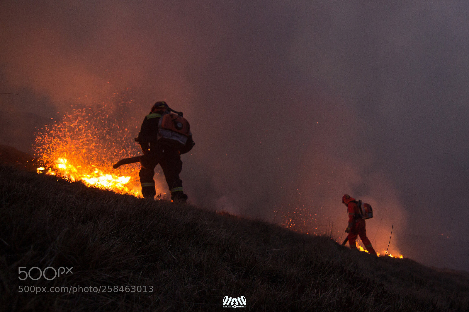 Canon EOS 600D (Rebel EOS T3i / EOS Kiss X5) sample photo. In the flames  photography