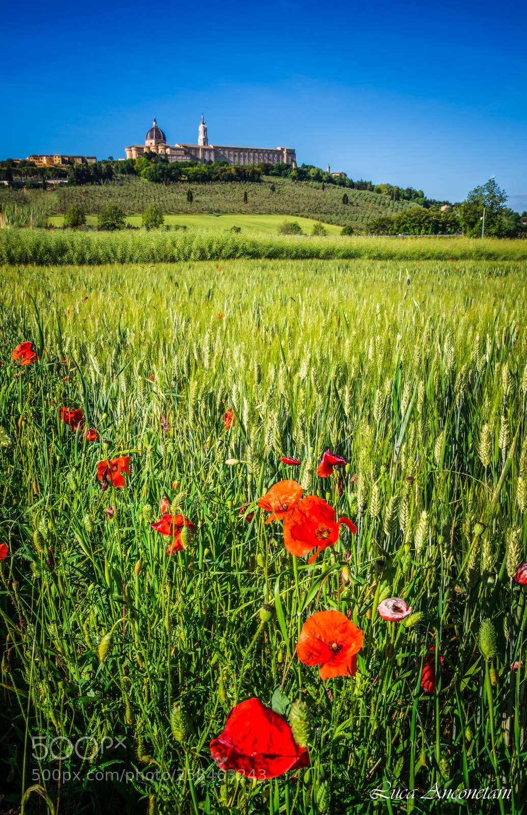 Nikon D610 sample photo. Loreto photography