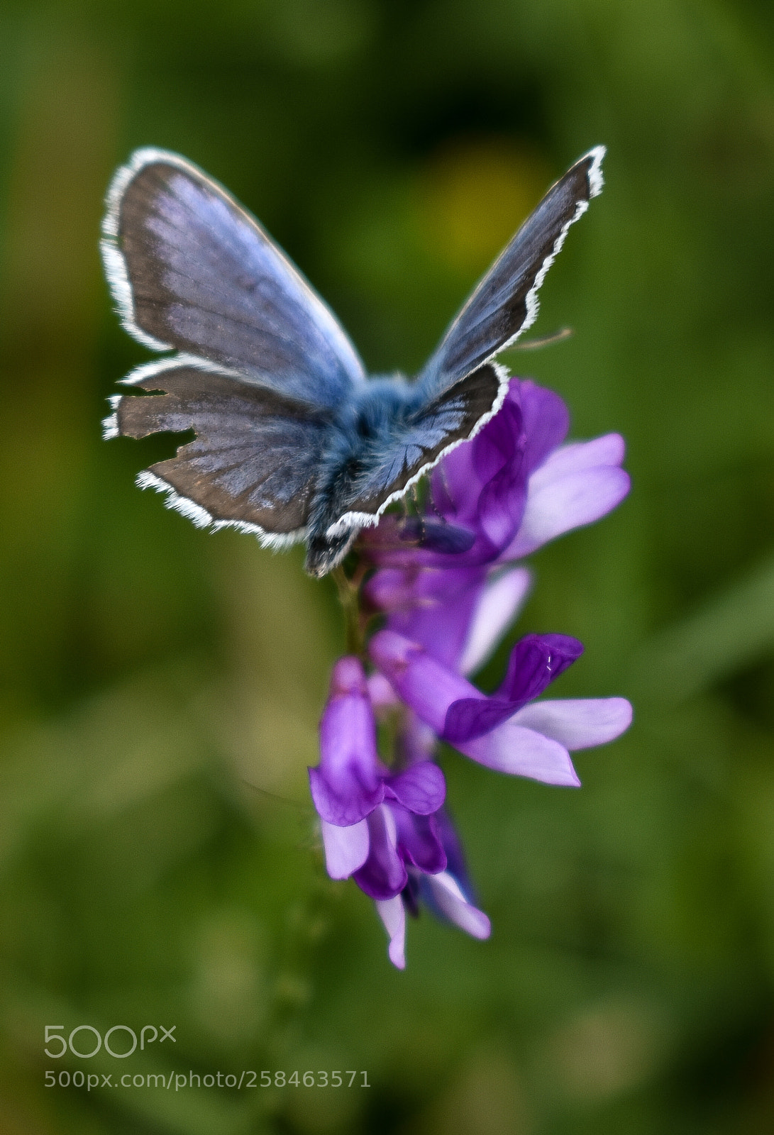 Nikon D3400 sample photo. Posing for me photography