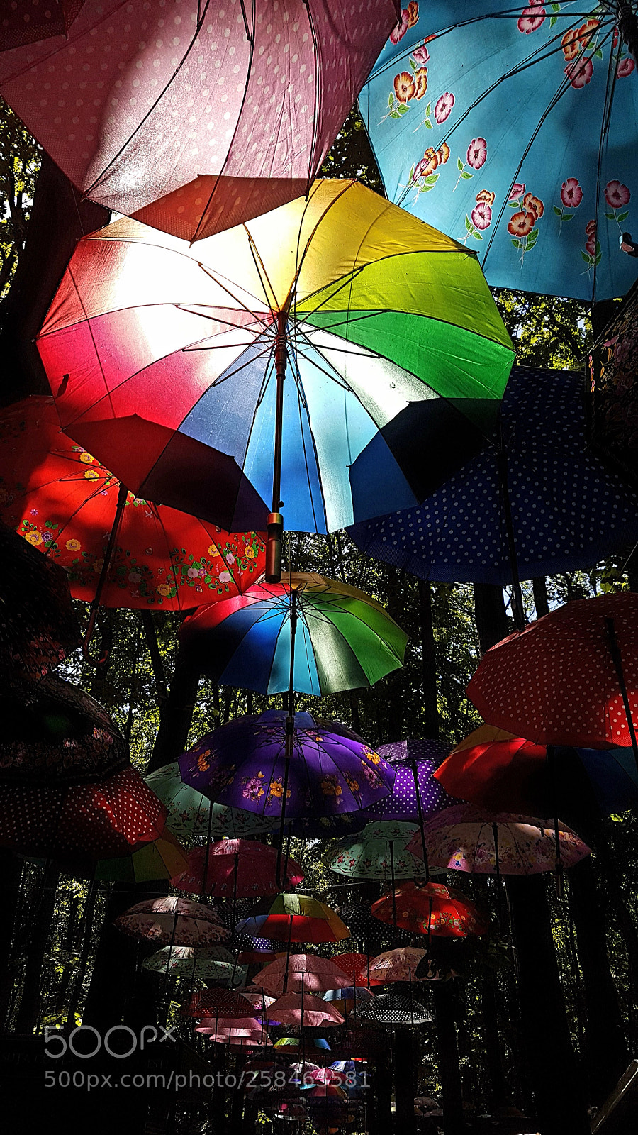 Samsung Galaxy S7 Edge sample photo. Pick an umbrella photography