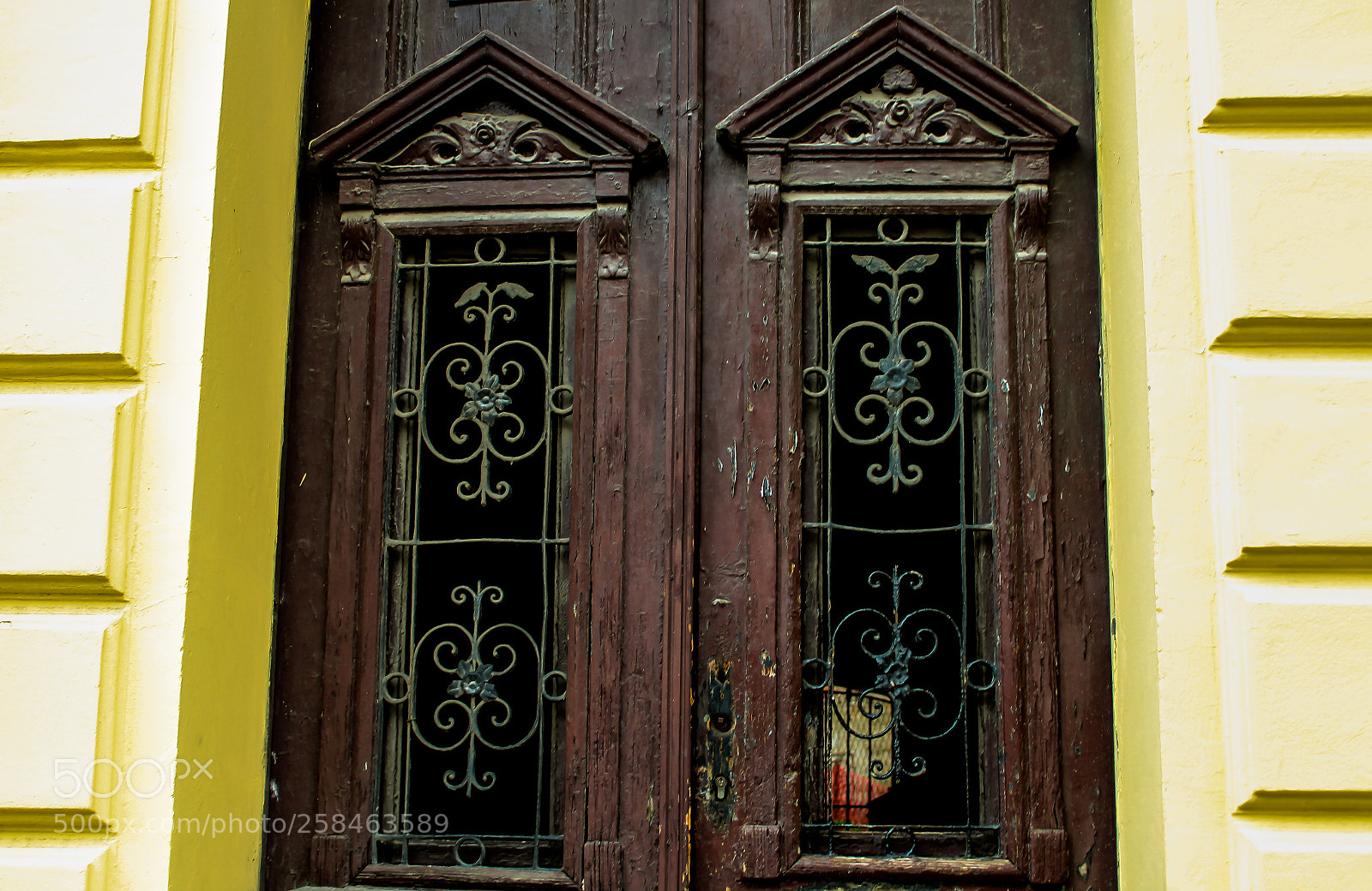 Canon EOS 1300D (EOS Rebel T6 / EOS Kiss X80) sample photo. Wonderful doors in novi photography