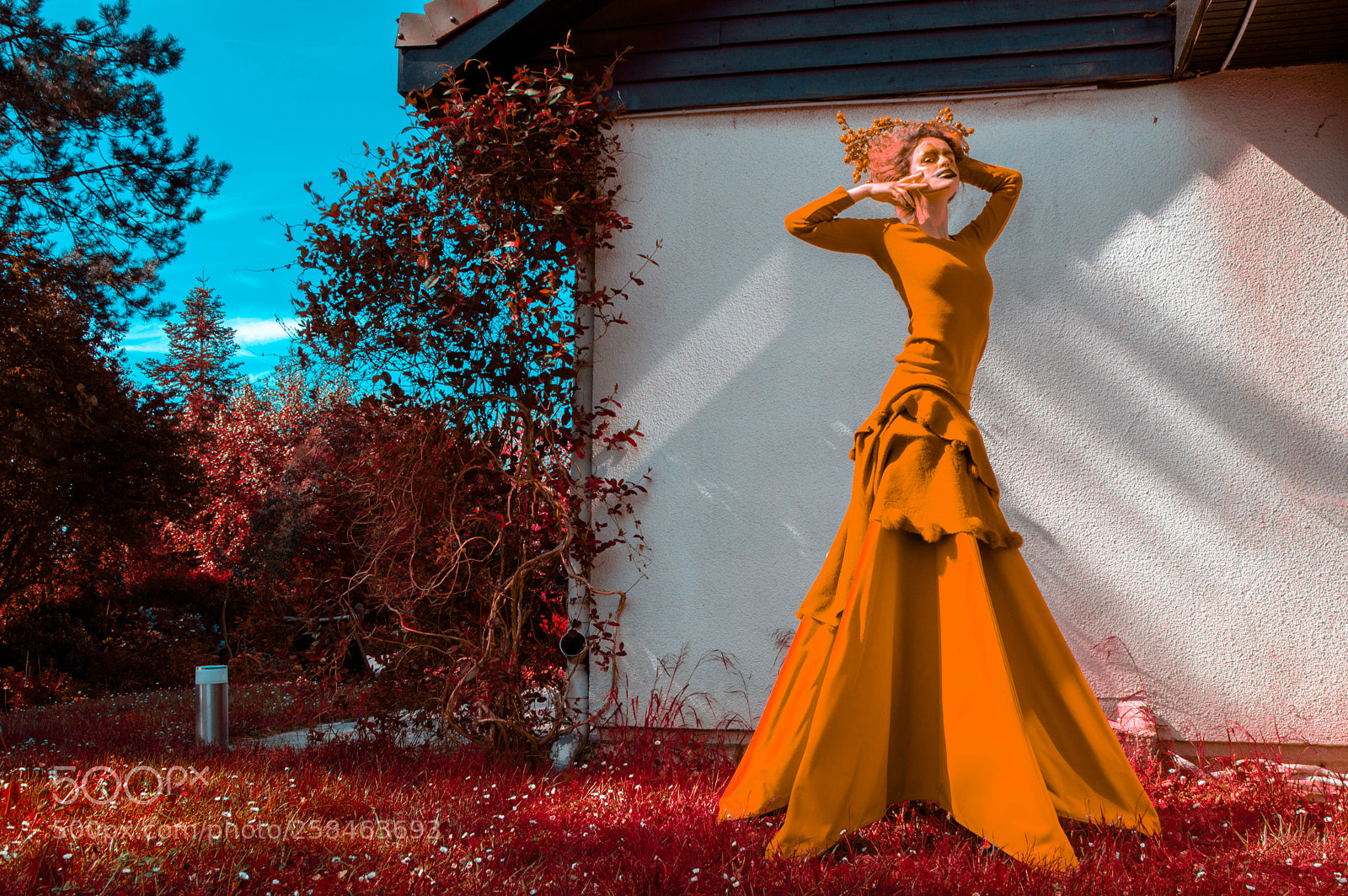 Nikon D3200 sample photo. Madness photography