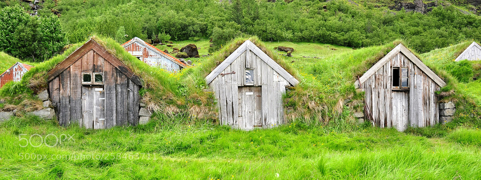 Nikon D90 sample photo. House of hobbits... photography