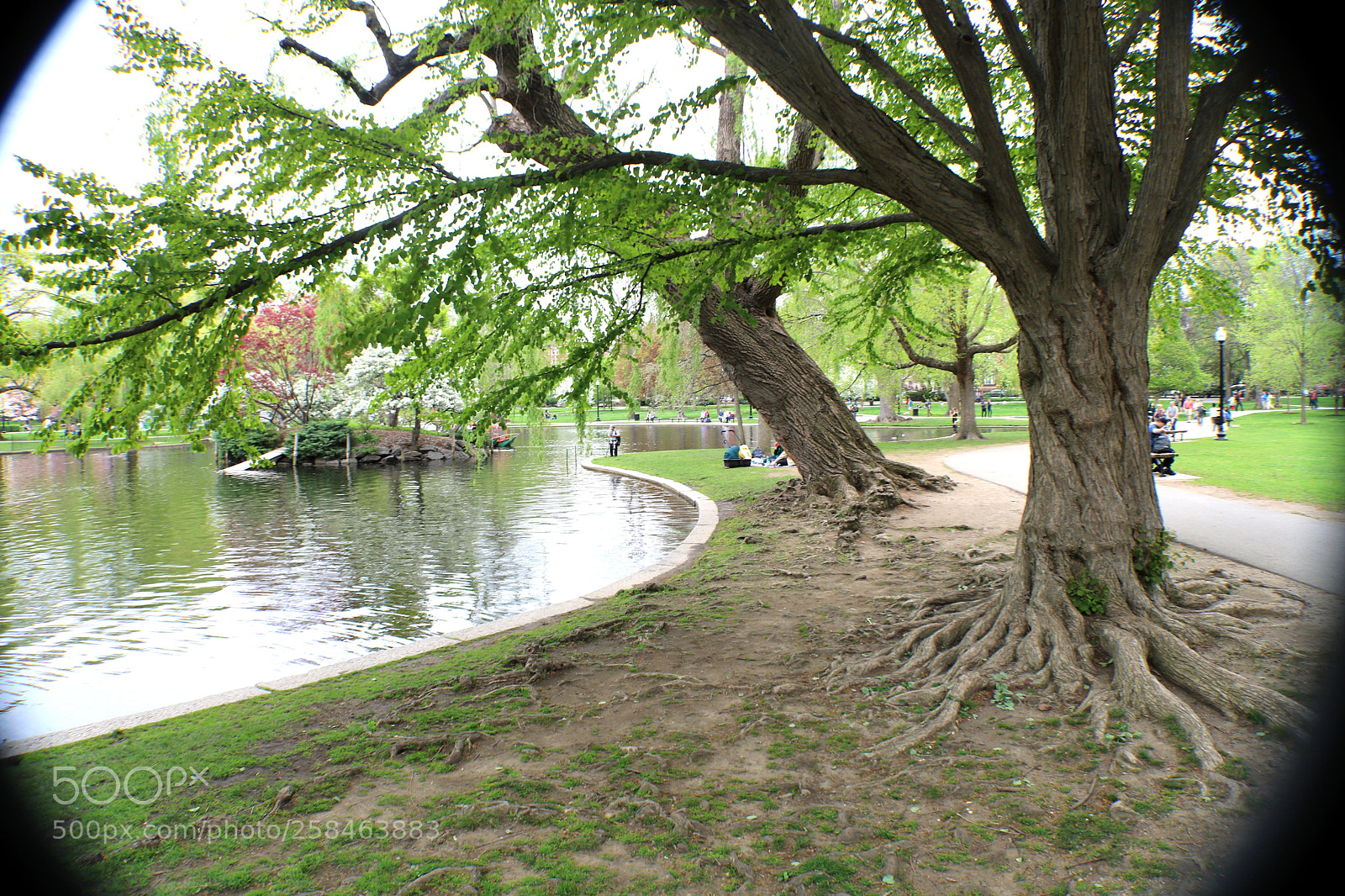 Canon EOS 750D (EOS Rebel T6i / EOS Kiss X8i) sample photo. Img_1408 photography