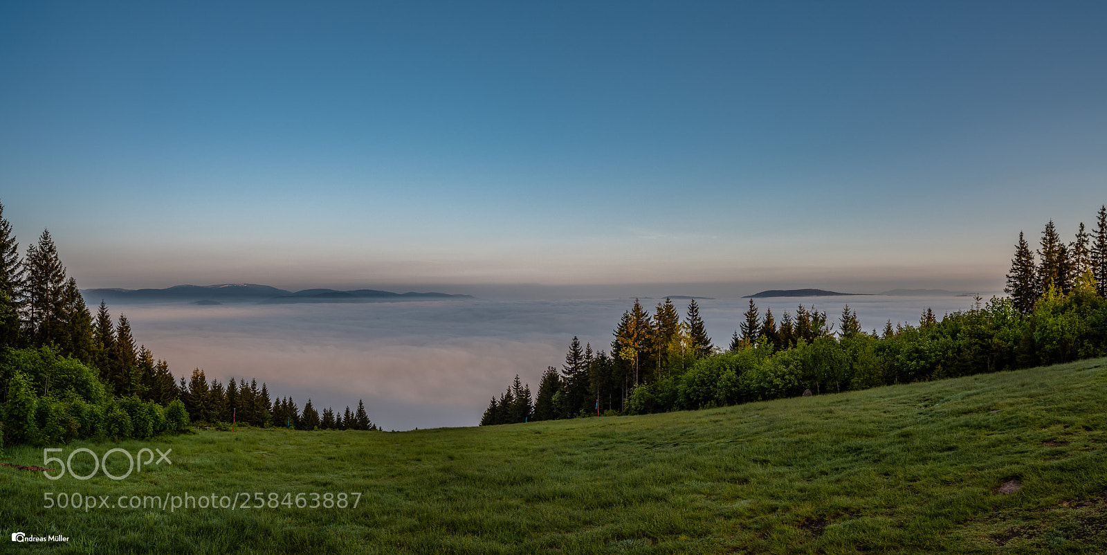 Nikon D810 sample photo. Feldberg photography
