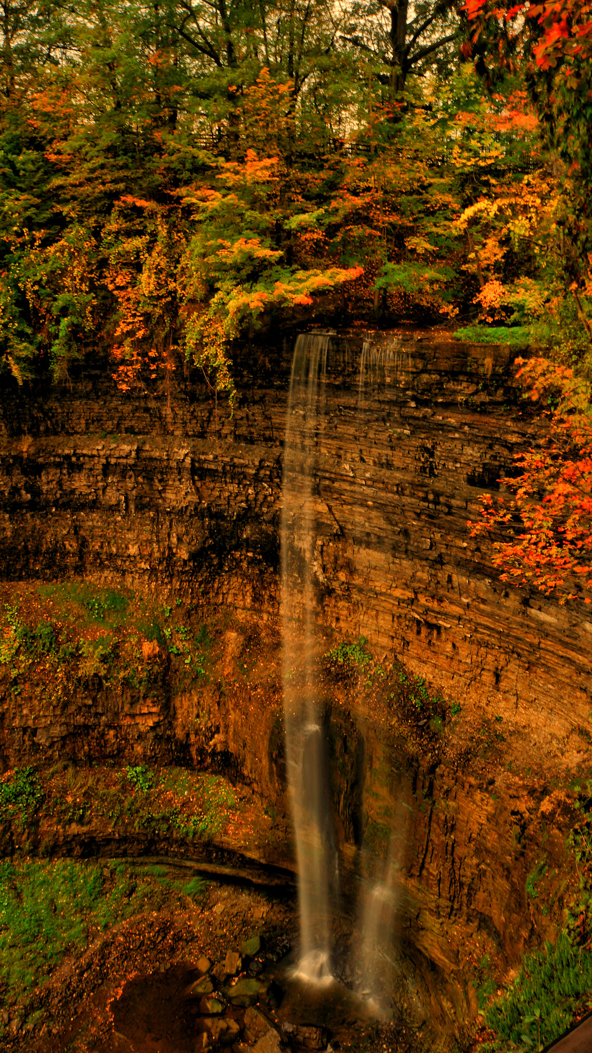 Sony Alpha NEX-5R sample photo. Fall in fall photography