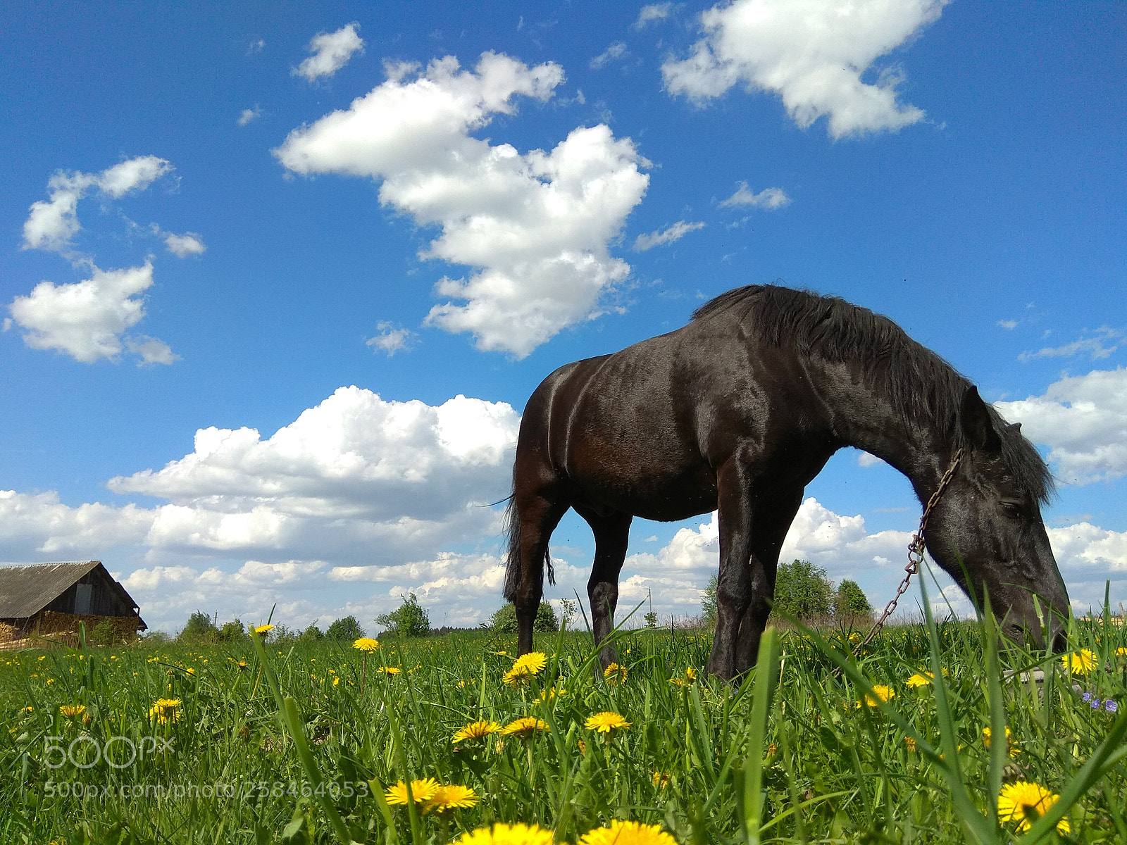 Xiaomi Redmi Note 4 sample photo. Untitled photography