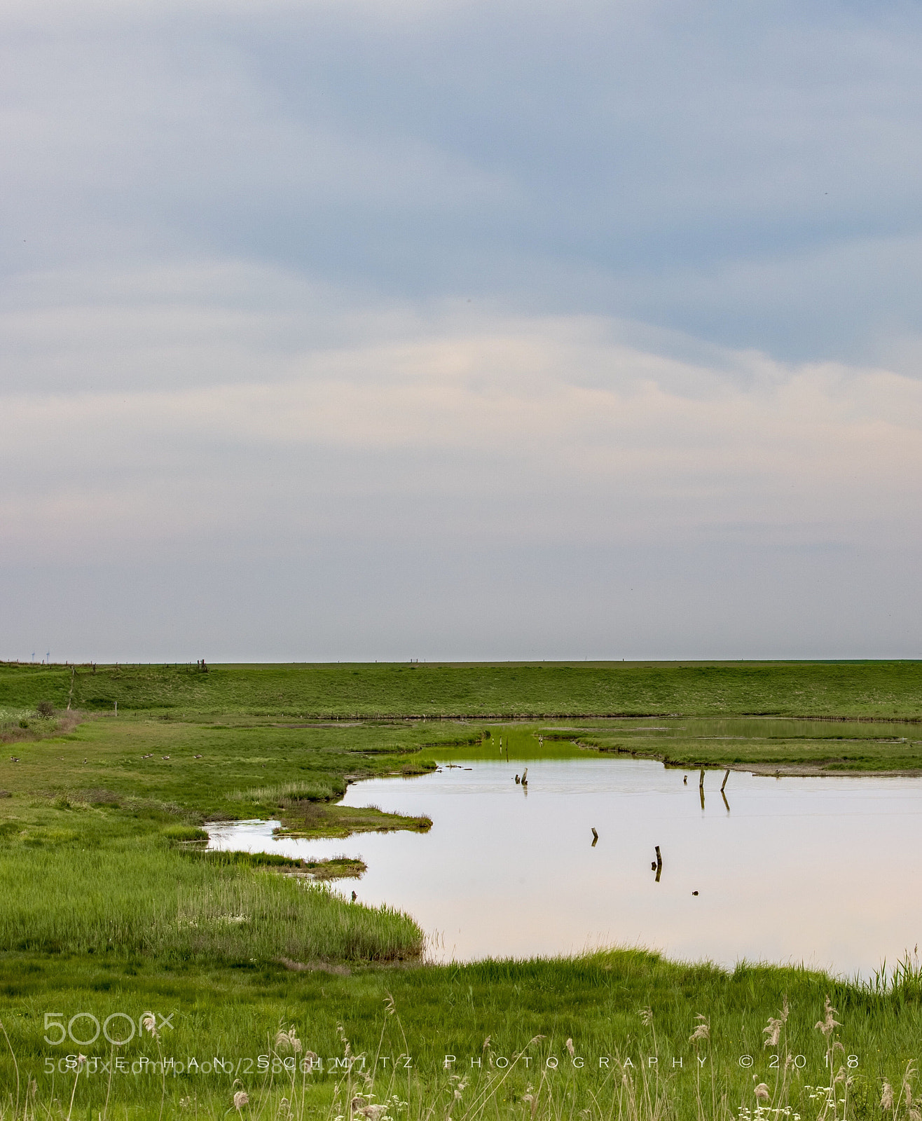 Canon EOS 6D Mark II sample photo. Silence photography