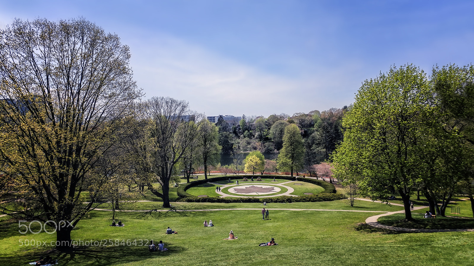 LG G5 sample photo. High park photography