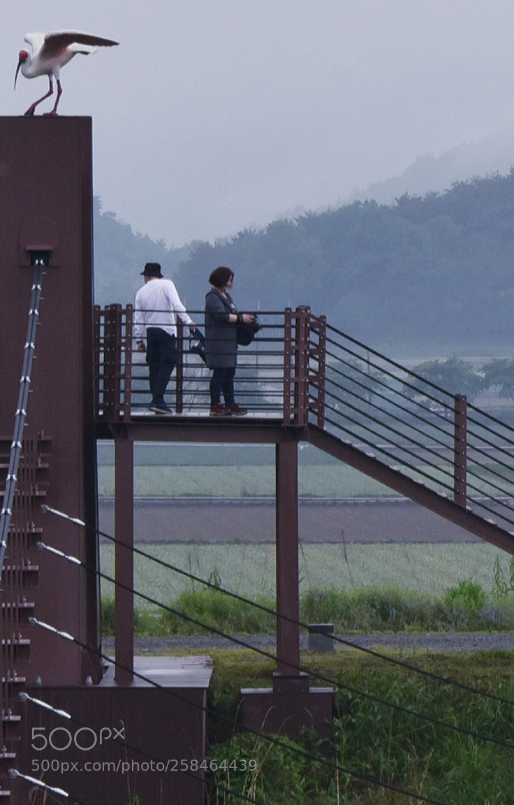 Nikon D750 sample photo. * alone & together photography