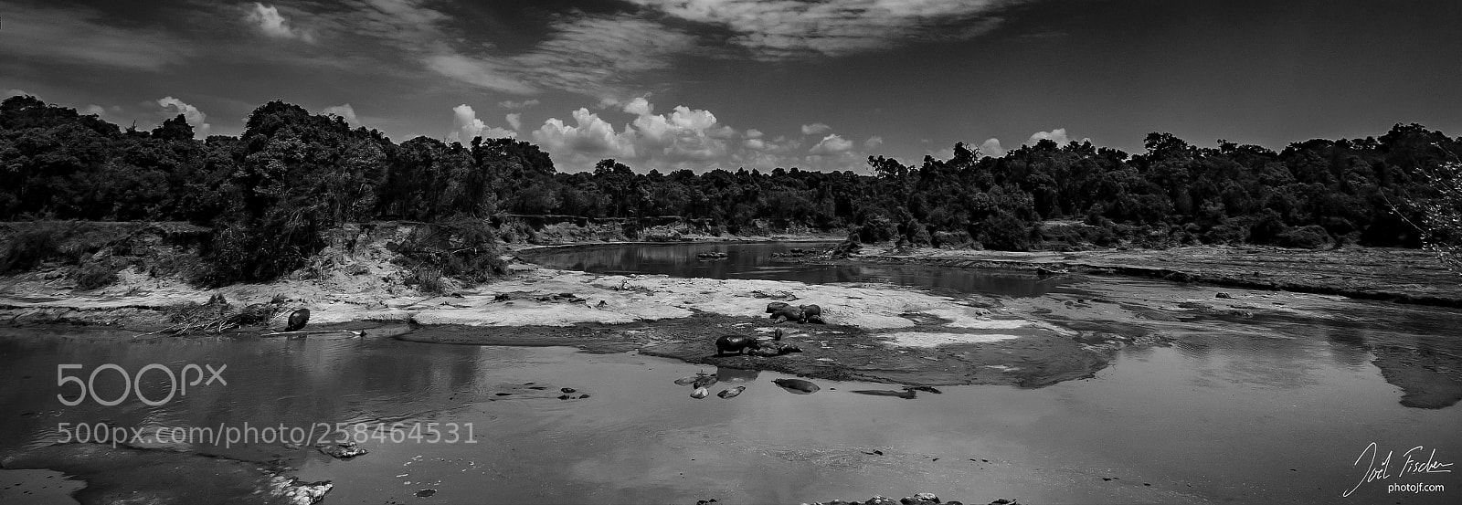 Canon EOS 6D sample photo. Masai mara, kenya, mars 2017 photography