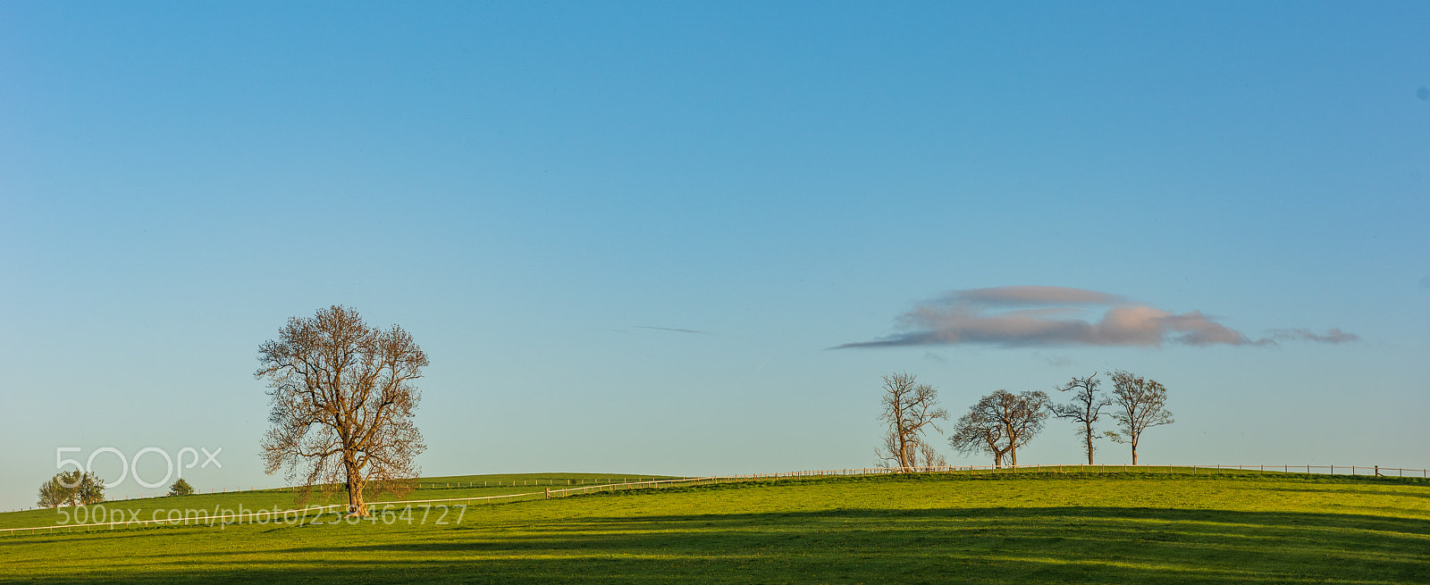 Nikon D810 sample photo. Out in front photography