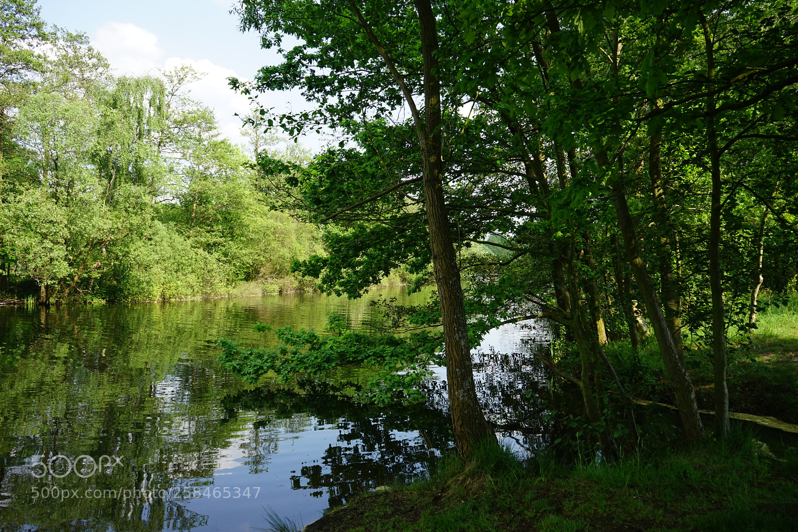 Sony a7 II sample photo. On the lake. photography