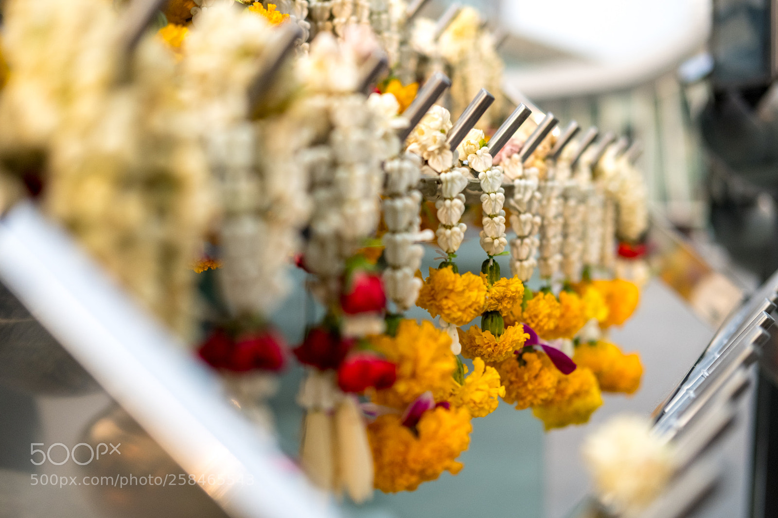 Fujifilm X-T20 sample photo. Bkk flower photography