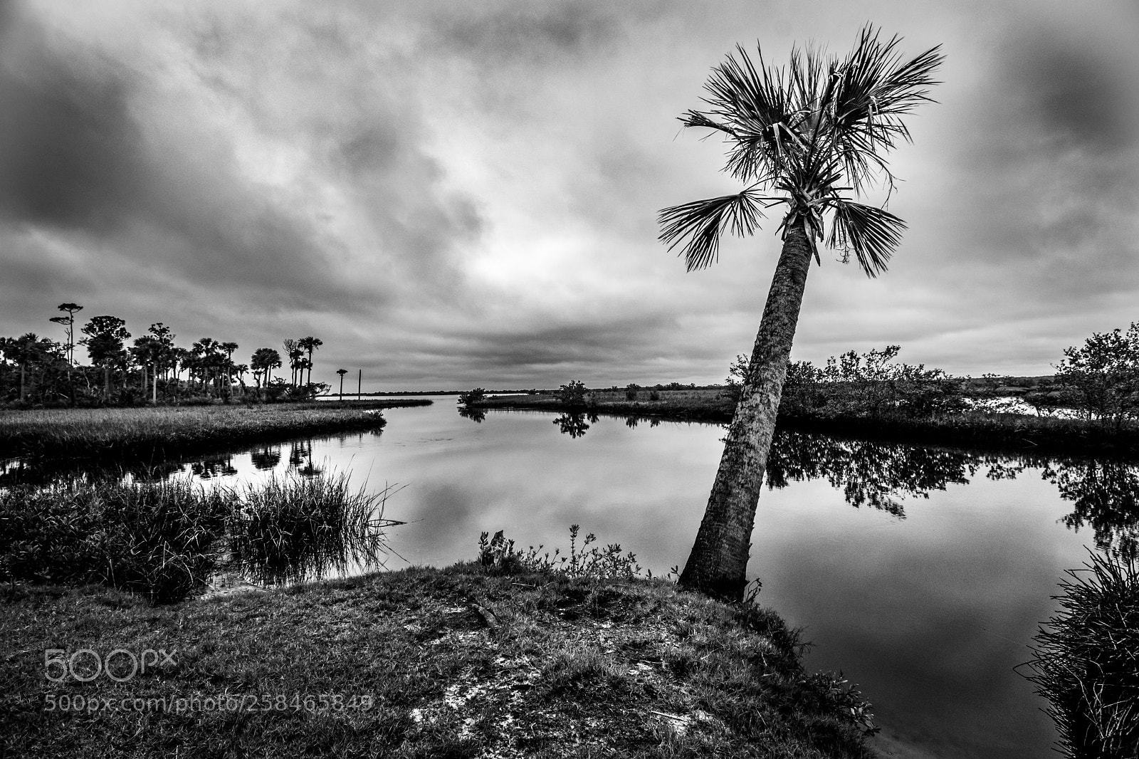Nikon D3300 sample photo. Cloudy day photography