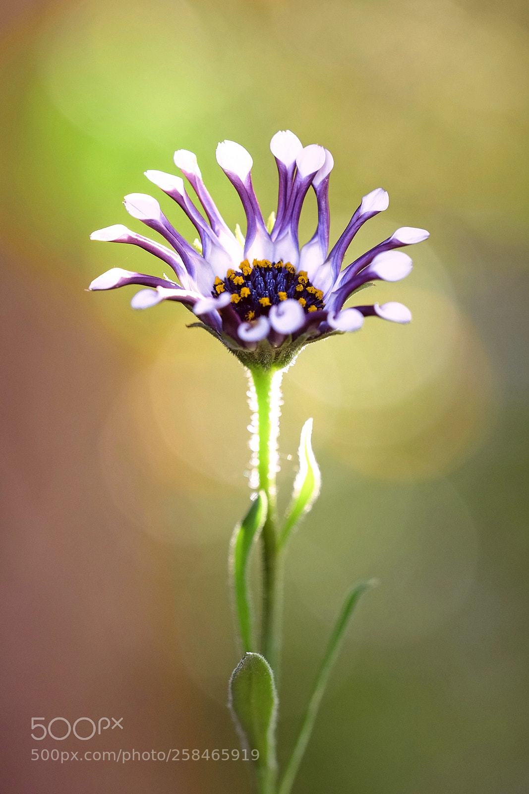 Fujifilm X-E2 sample photo. Spoon finger photography