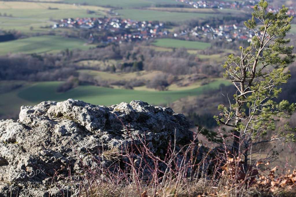 Canon EOS 1200D (EOS Rebel T5 / EOS Kiss X70 / EOS Hi) sample photo. Burg hohenzollern photography