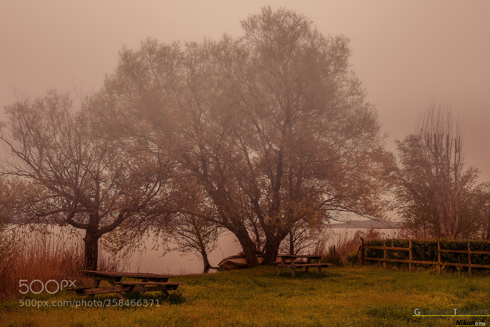 Nikon D750 sample photo. Nebbia sul lago photography
