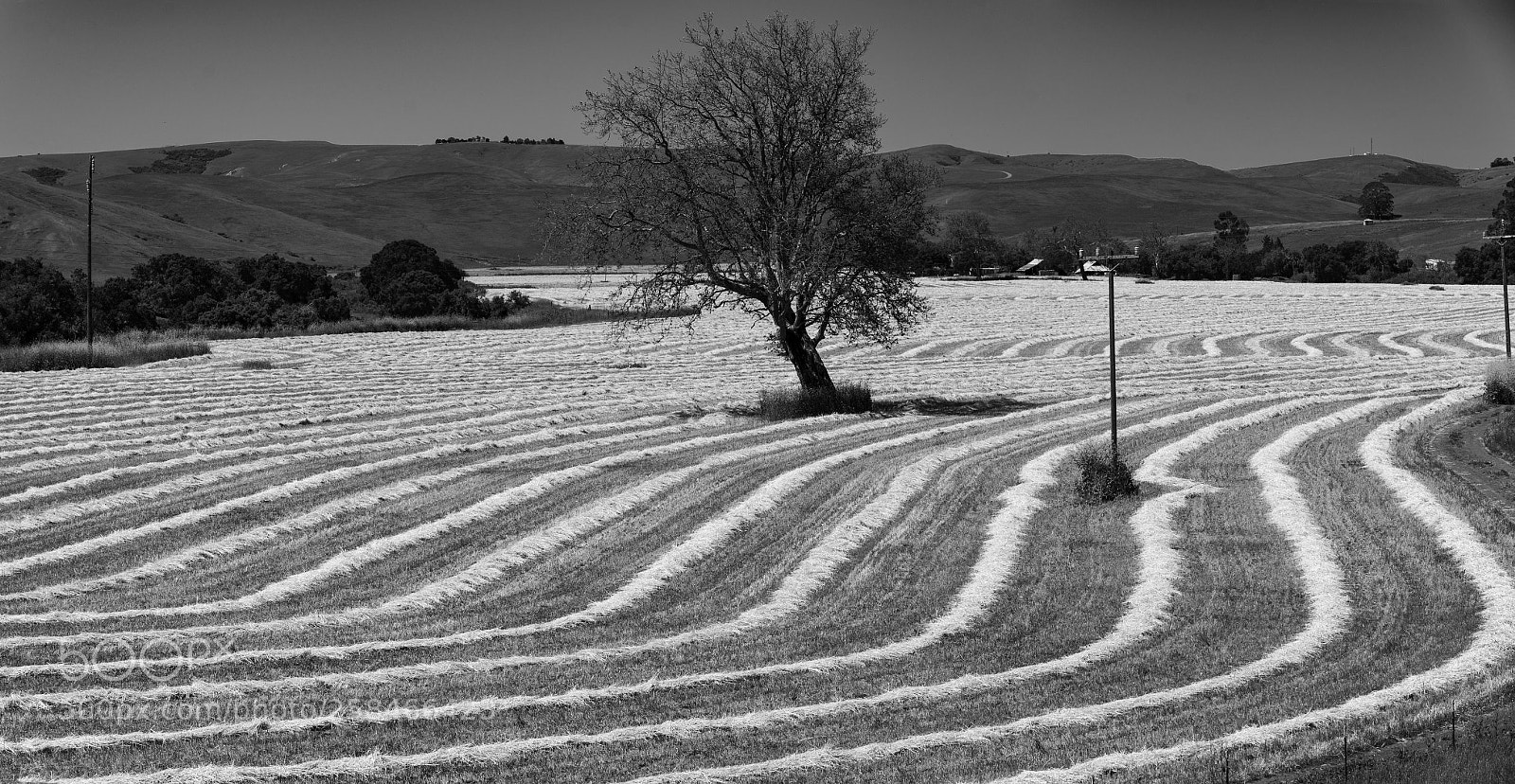 Sony a7R II sample photo. Plough paterns photography